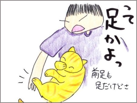 f:id:chai-ko:20210512200526j:plain