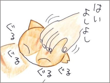 f:id:chai-ko:20210602195109j:plain