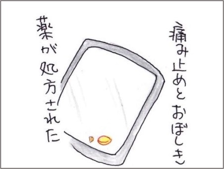 f:id:chai-ko:20210616194346j:plain
