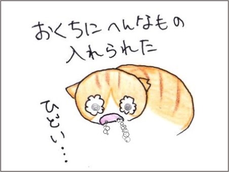 f:id:chai-ko:20210618193318j:plain
