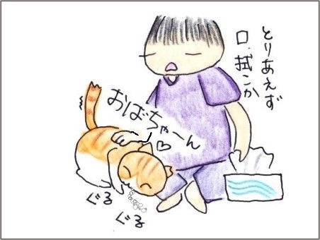 f:id:chai-ko:20210618200145j:plain