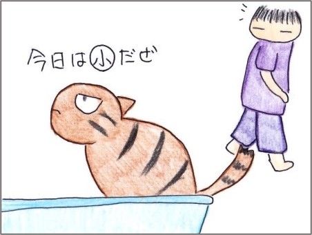 f:id:chai-ko:20210704184528j:plain