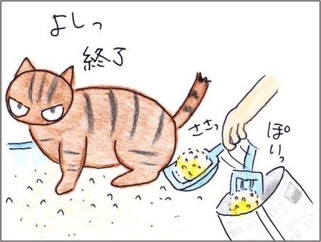 f:id:chai-ko:20210704184539j:plain