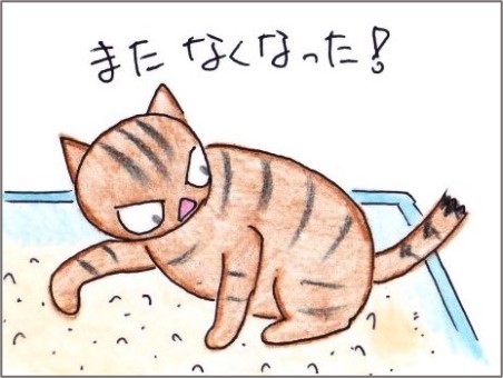 f:id:chai-ko:20210704184547j:plain