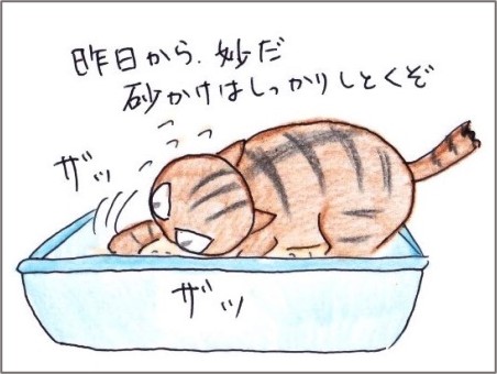 f:id:chai-ko:20210704184555j:plain