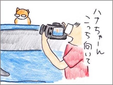 f:id:chai-ko:20210718200213j:plain