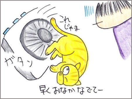 f:id:chai-ko:20210801192800j:plain
