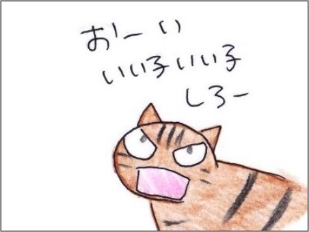 f:id:chai-ko:20210828174320j:plain