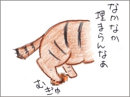 f:id:chai-ko:20211005202301j:plain