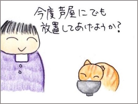 f:id:chai-ko:20211115194532j:plain