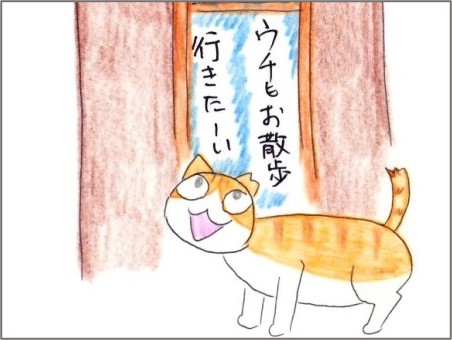 f:id:chai-ko:20211125192645j:plain