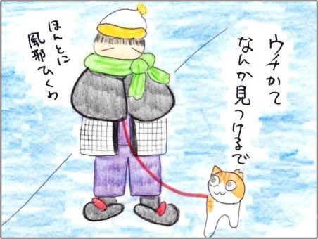 f:id:chai-ko:20211125192649j:plain