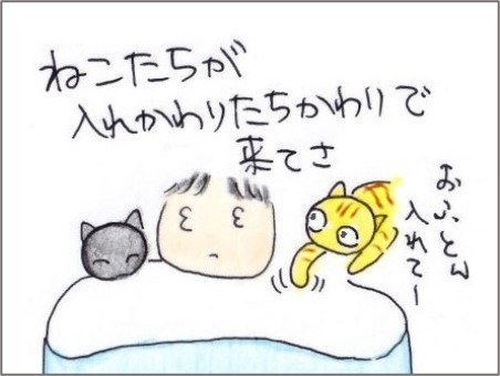 f:id:chai-ko:20211127200254j:plain