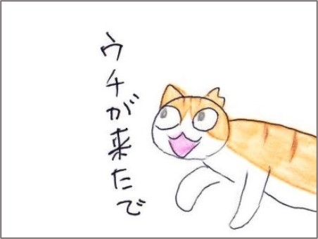 f:id:chai-ko:20211215193855j:plain