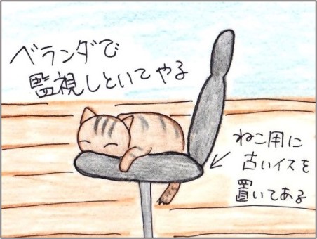 f:id:chai-ko:20211215195005j:plain