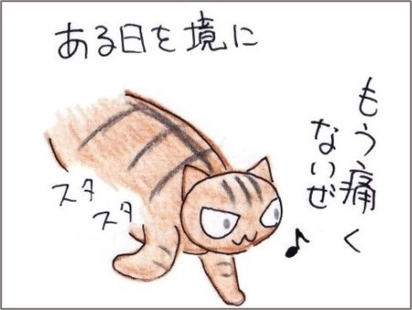 f:id:chai-ko:20211224192524j:plain