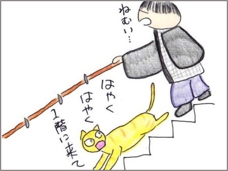 f:id:chai-ko:20220102200358j:plain