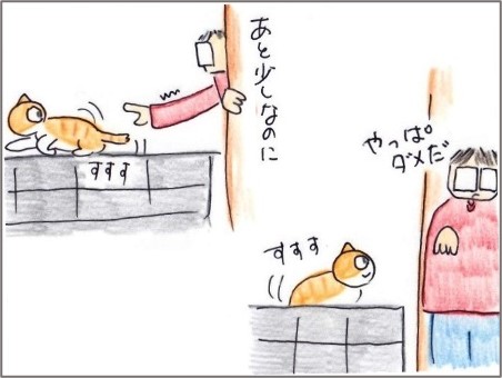 f:id:chai-ko:20220117195904j:plain
