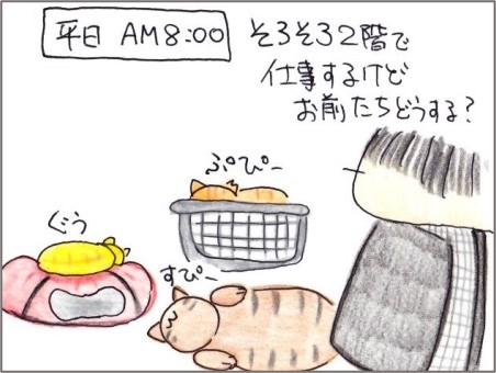 f:id:chai-ko:20220123190334j:plain