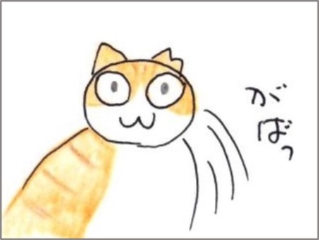 f:id:chai-ko:20220123190338j:plain