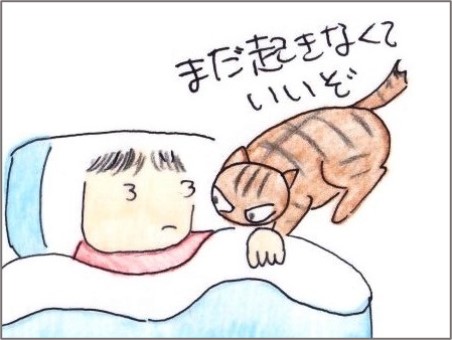 f:id:chai-ko:20220206195831j:plain