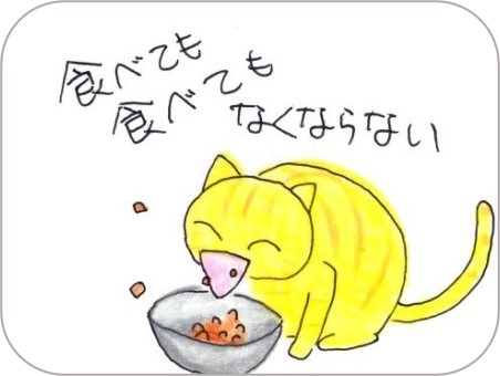 f:id:chai-ko:20220210200859j:plain
