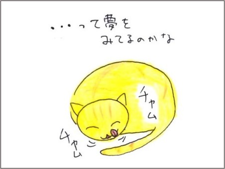 f:id:chai-ko:20220210200904j:plain