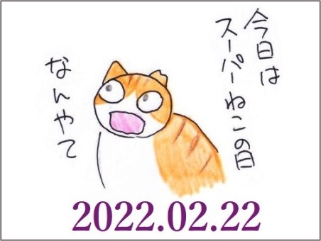 f:id:chai-ko:20220222192247j:plain