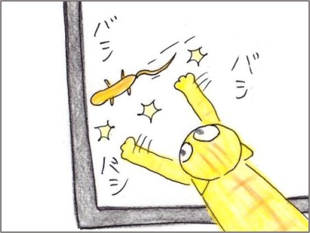 f:id:chai-ko:20220401200529j:plain