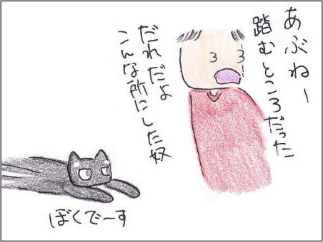 暗がりに落ちている黒い物体 - 何の変哲もないねこですが II