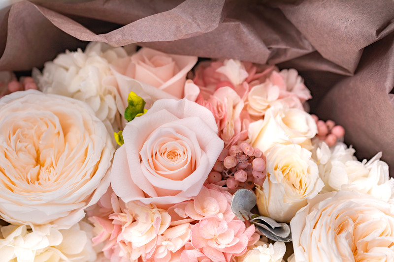 f:id:chaiko-d:20190524233950j:plain f:id:chaiko-d:20190524233950j:plain