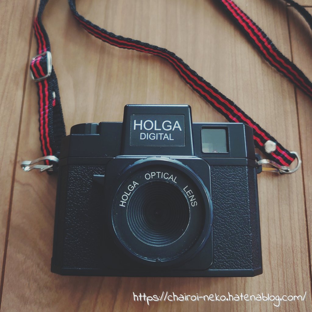 トイデジその6、HOLGA DIGITAL - 茶色い猫がみてる。