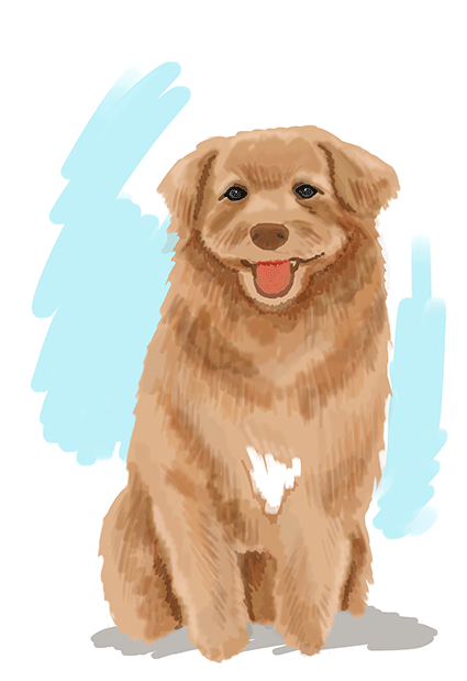 色鉛筆でいちごをリアルに描こう!イチゴ ...