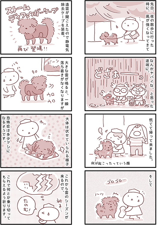 犬マンガ 犬の雷対策 ストームディフェンダーケープ2 こぐま犬と散歩 元保護犬の漫画日記 犬マンガ 犬の雷対策 ストームディフェンダーケープ2 こぐま犬と散歩 元保護犬の漫画日記