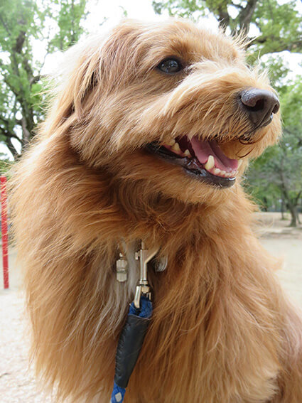 f:id:chairoitenten:20171019133441j:plain f:id:chairoitenten:20171019133441j:plain