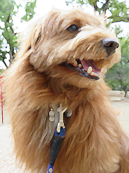 f:id:chairoitenten:20171019133632j:plain f:id:chairoitenten:20171019133632j:plain