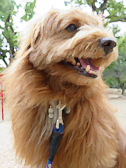 f:id:chairoitenten:20171019133743j:plain f:id:chairoitenten:20171019133743j:plain