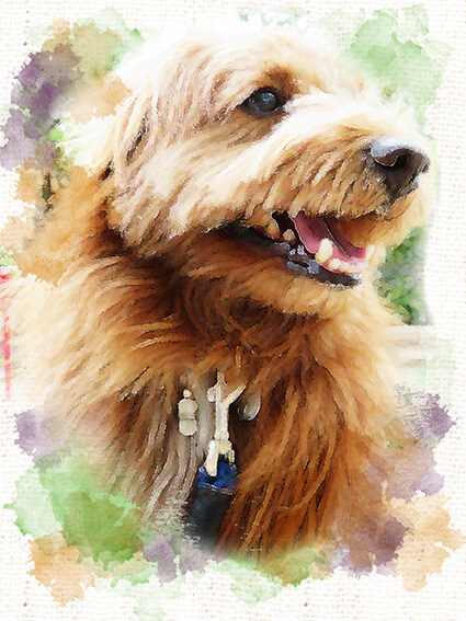 f:id:chairoitenten:20171019135752j:plain f:id:chairoitenten:20171019135752j:plain