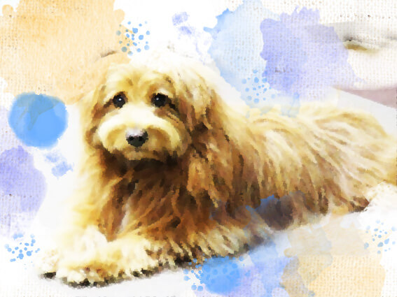 f:id:chairoitenten:20171019135806j:plain f:id:chairoitenten:20171019135806j:plain