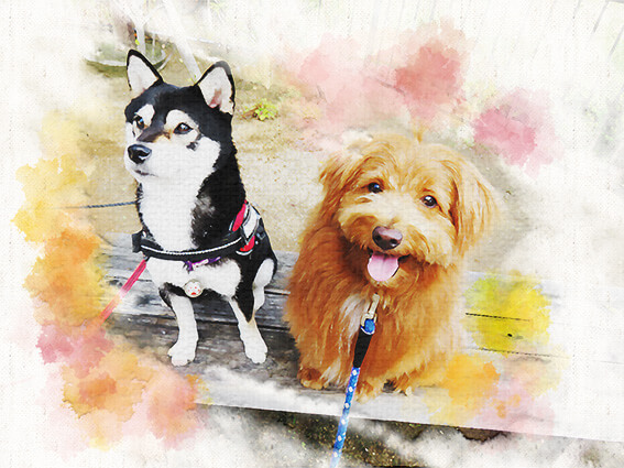 f:id:chairoitenten:20171019135820j:plain f:id:chairoitenten:20171019135820j:plain