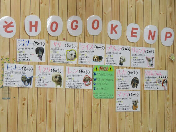 f:id:chairoitenten:20171029014733j:plain