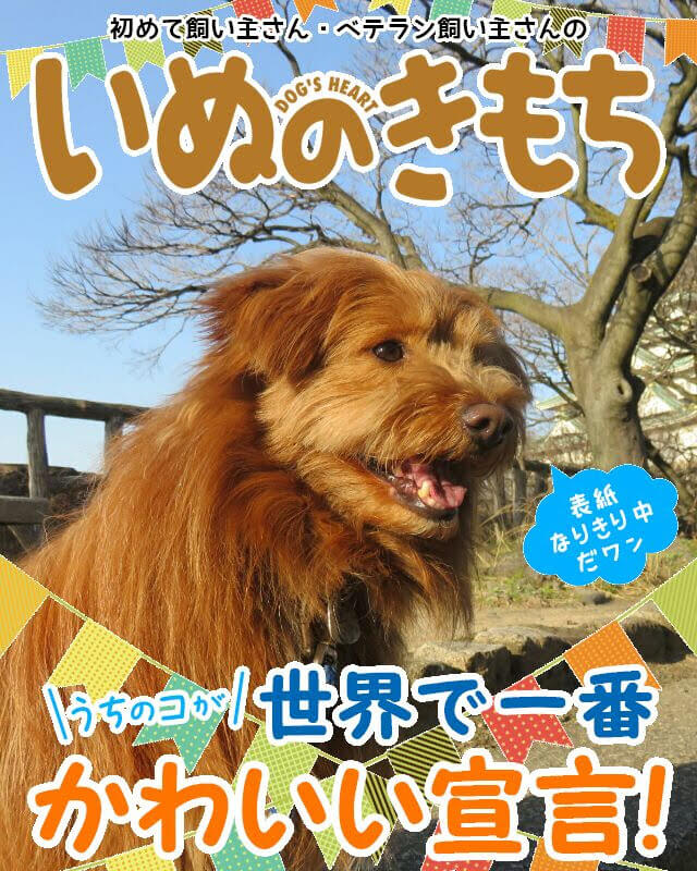 いぬのきもち表紙