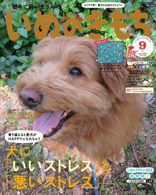 いぬのきもち表紙