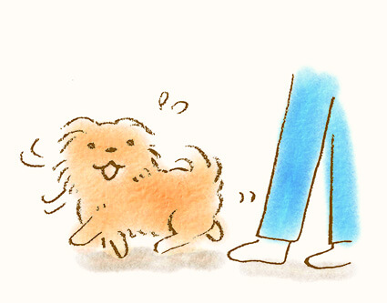 まとわりつく犬のイラスト