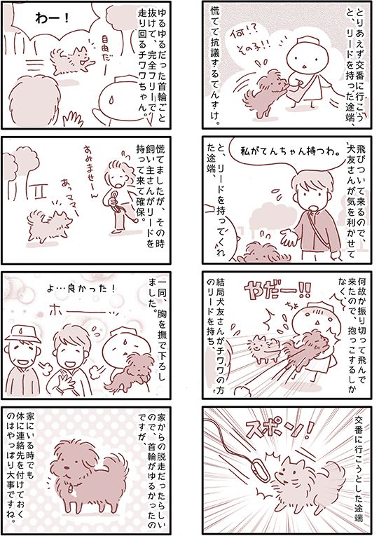 チワワ 漫画 ベスト カートゥーン ハウス チワワ 漫画 ベスト カートゥーン ハウス