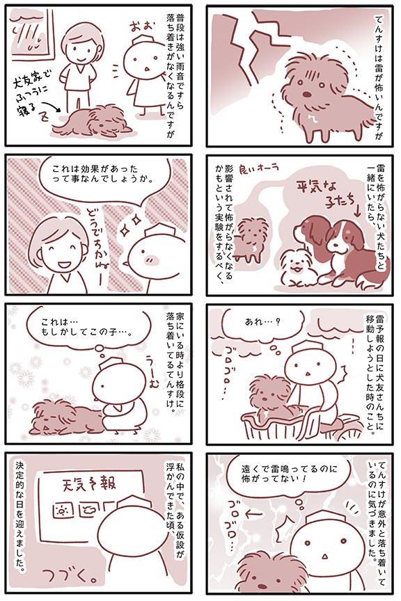 犬漫画 雷恐怖症克服 その1 こぐま犬と散歩 元保護犬の漫画日記 犬漫画 雷恐怖症克服 その1 こぐま犬と散歩 元保護犬の漫画日記