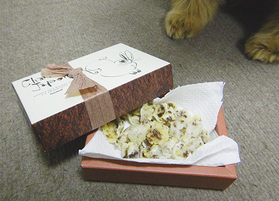 犬用バレンタインプレゼント