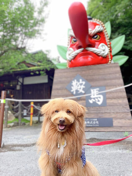 鞍馬の天狗と犬