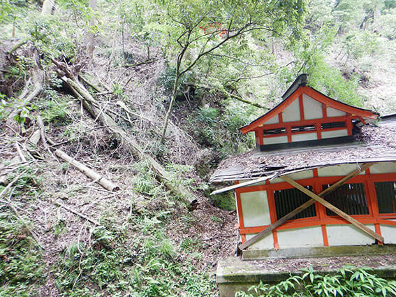 土砂崩れの後