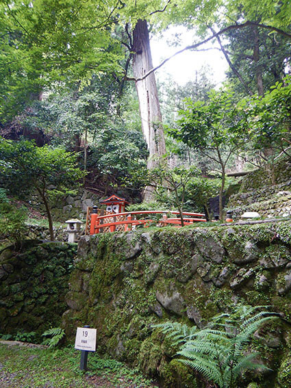 鞍馬寺の山の中